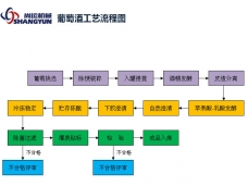 葡萄酒生產(chǎn)工藝